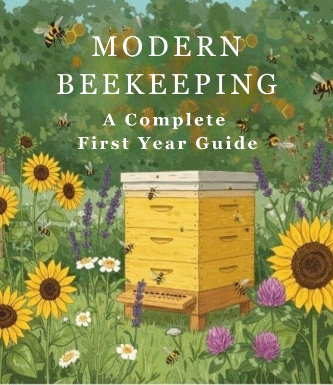 How to Start Beekeeping in the UK (Beginner’s Guide) – Morgan and Crown ...