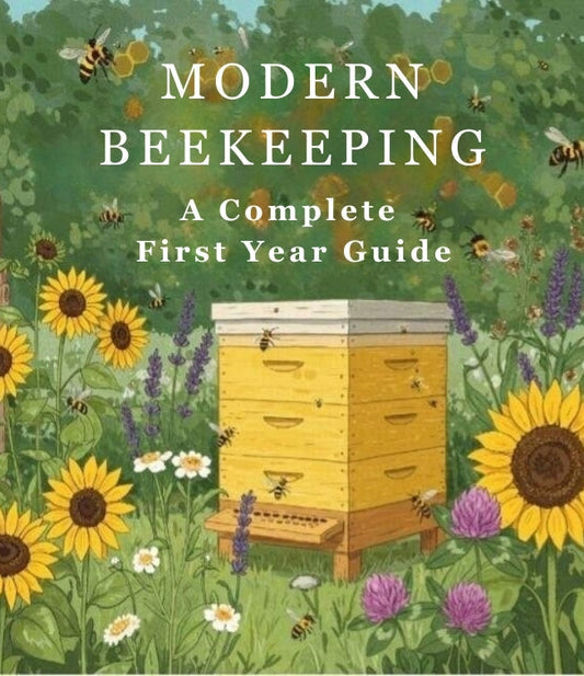 How to Start Beekeeping in the UK (Beginner’s Guide)