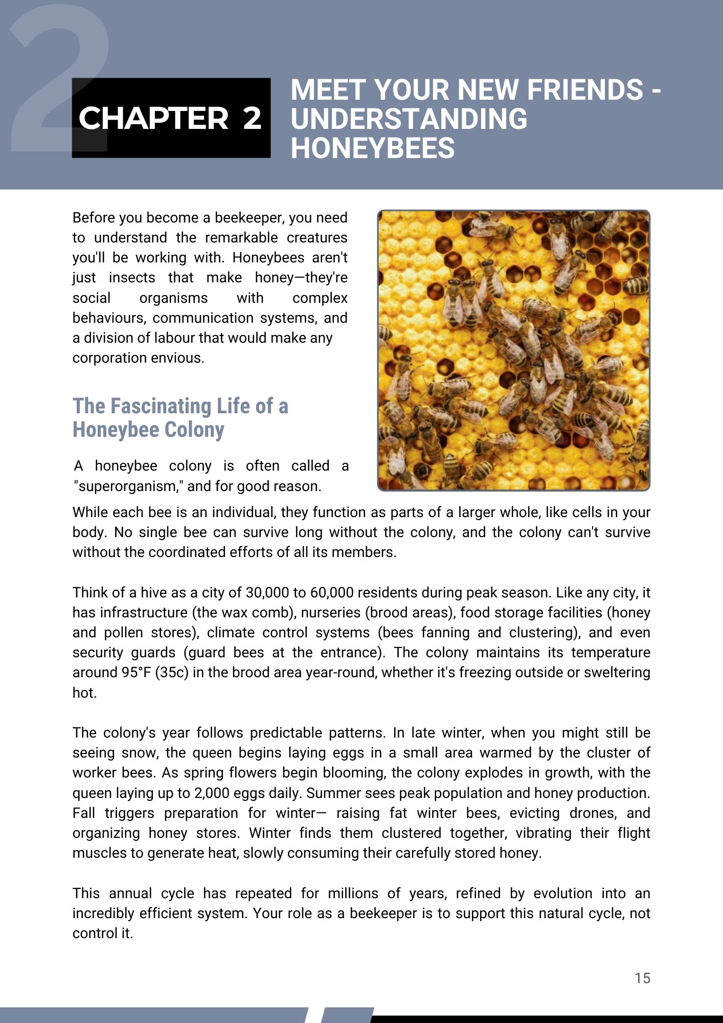 MODERN BEEKEEPING: A COMPLETE FIRST YEAR GUIDE